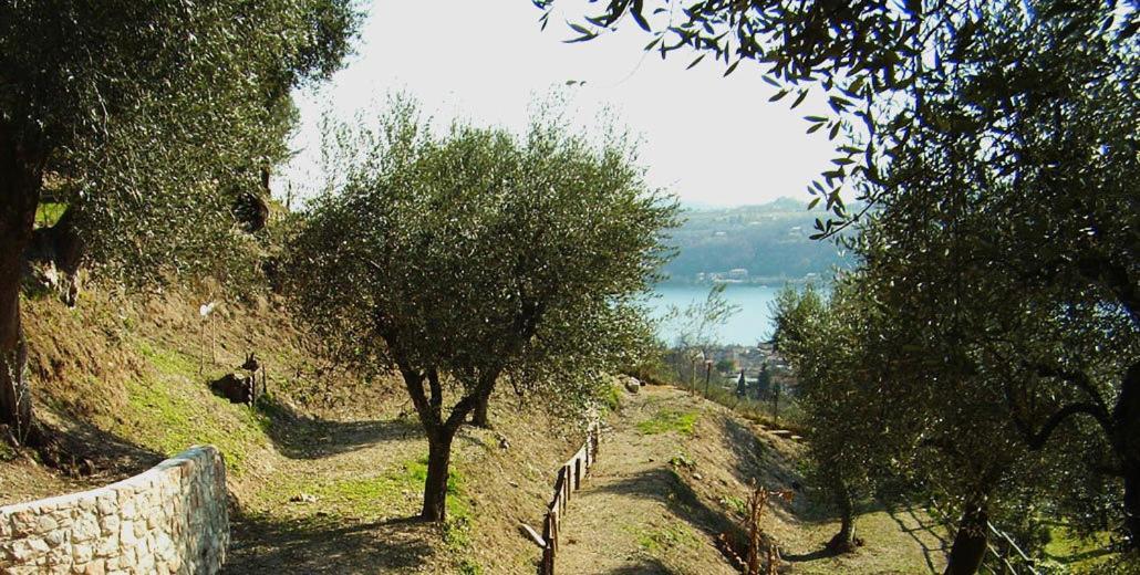 Agriturismo Villa Bissiniga Salò Екстериор снимка